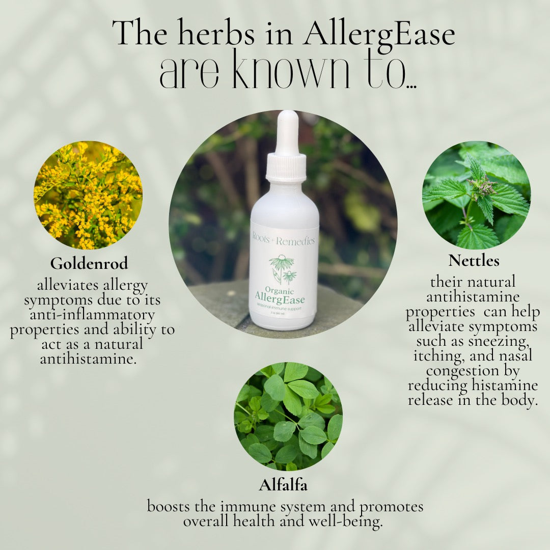 AllergEase Herbal Extraction