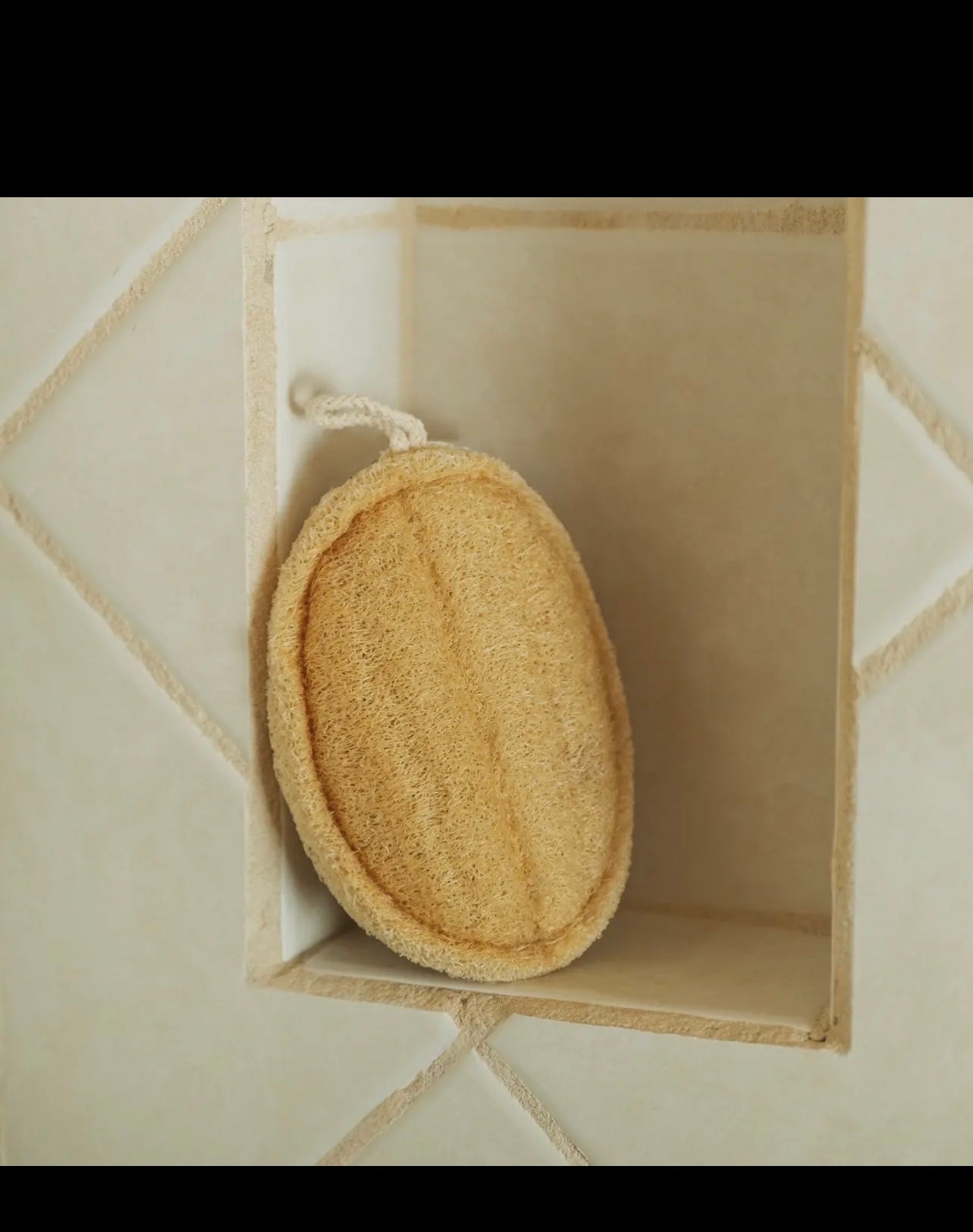 Large Exfoliating Loofah | Oval |