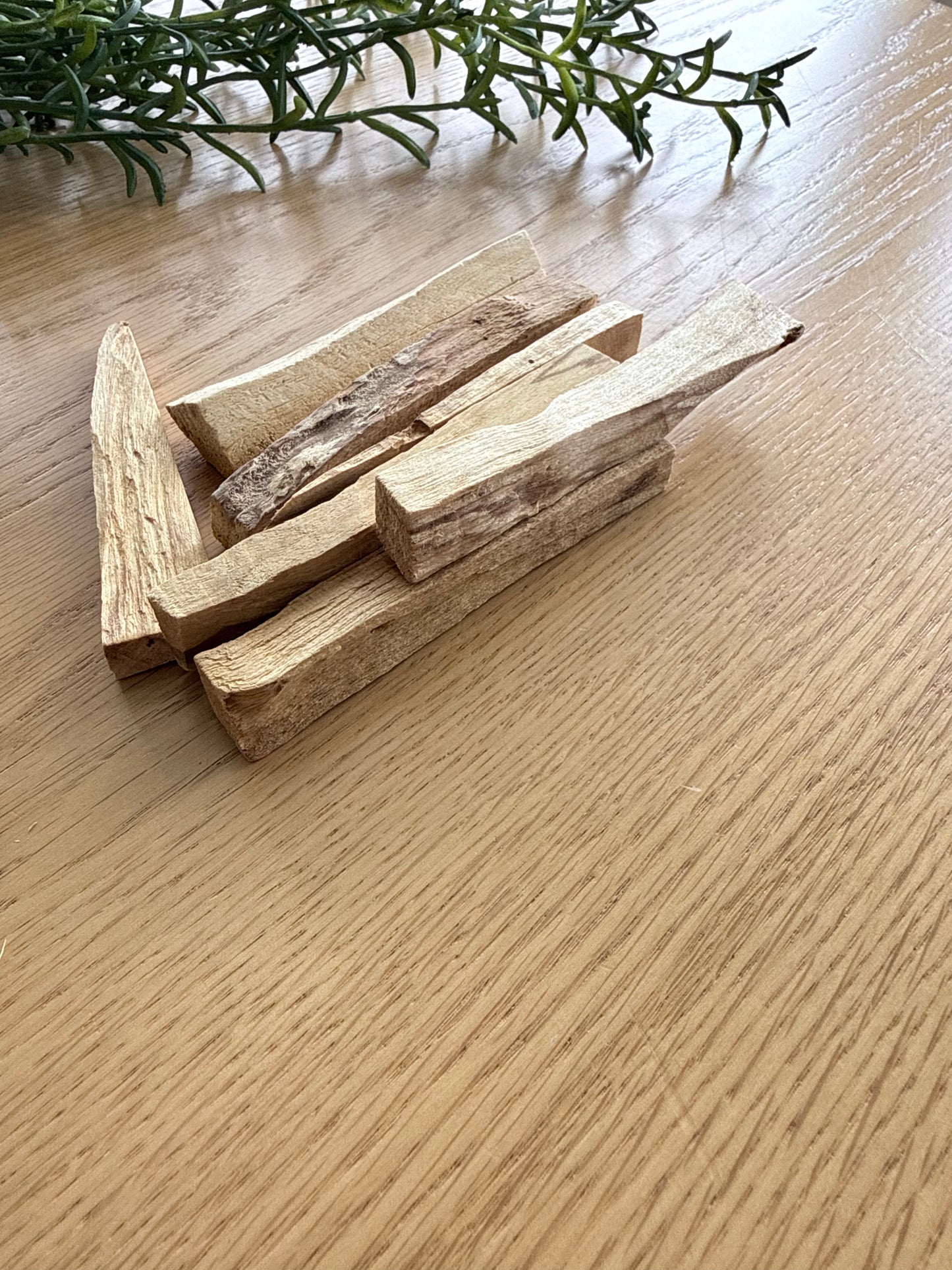 Palo santo stick