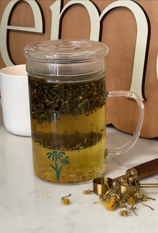 Glass Tea Infuser Mug